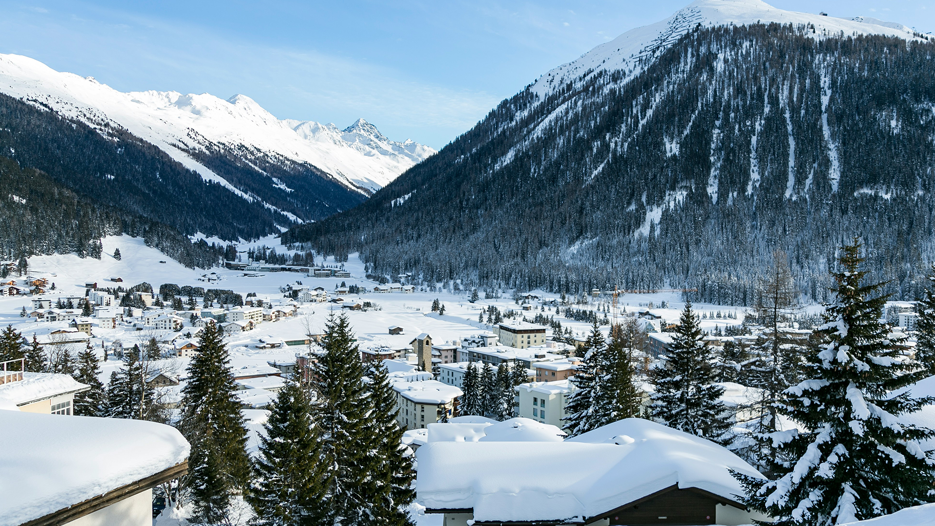 Delphi Economic Forum in Davos - Strengthening the Transatlantic Economic Engine: Pathways to Shared Competitiveness and Resilience