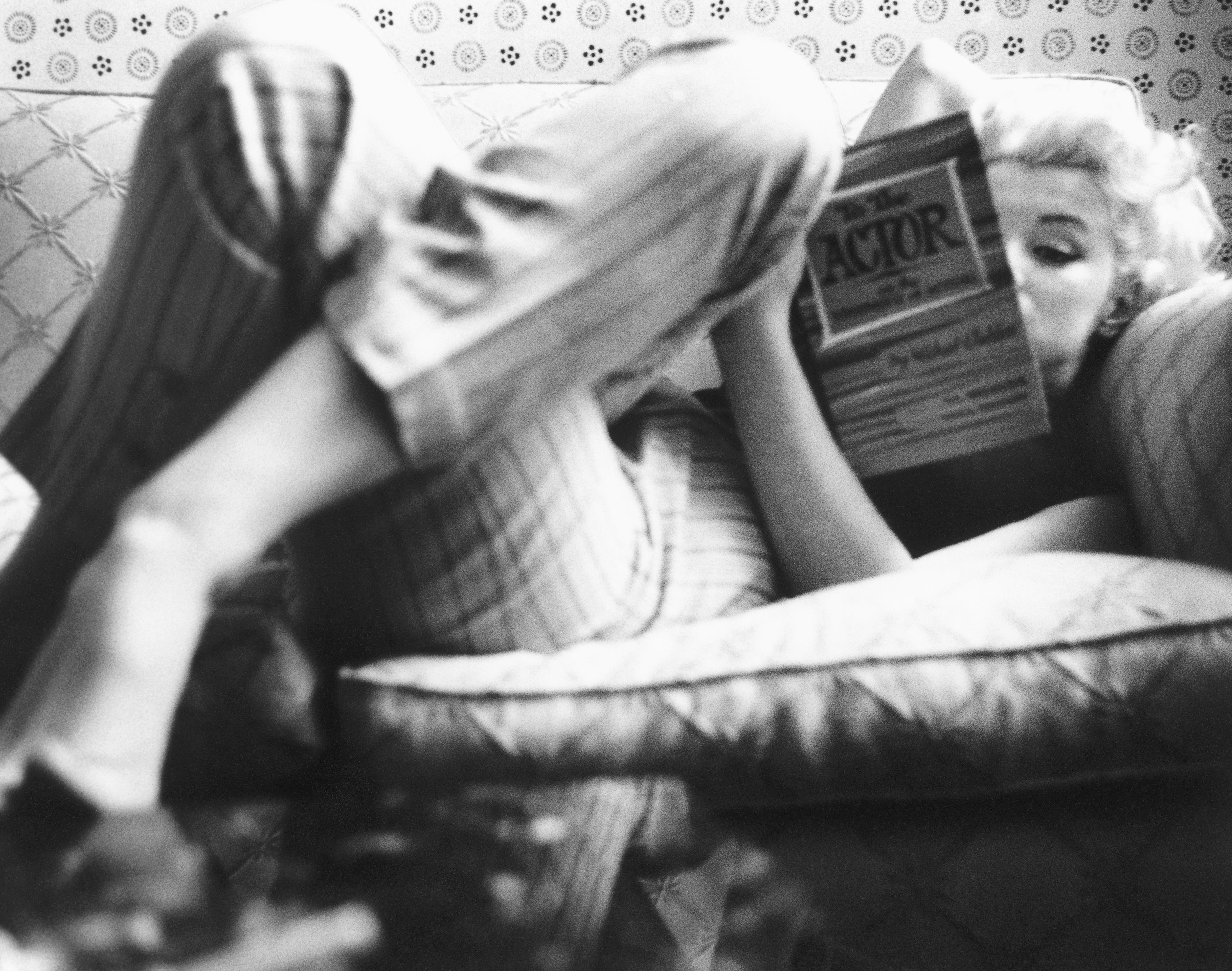 BANNER DEF VII